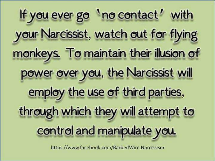 To My Narcissist Father-In-Law's Flying Monkey | Open Letter