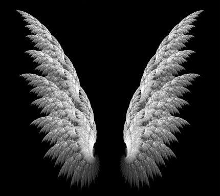 Angel Wings