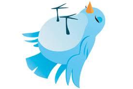 Open Letter to Twitter - Dead Bird