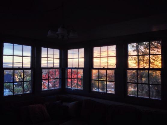 Open letter to the love of my life that gave up on us too soon